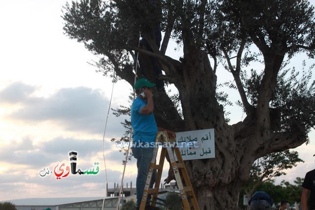  كفرقاسم - فيديو: الرئيس عادل بدير  الأيدي المتوضئة تُعمر وتحمي البلد واهله  و يشارك شباب الحرسة الاعمال التطوعية التنظيفية في مدخل البلدة